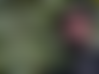 Kahvenin İzinde: Latin Amerika’ya Uzanan Bir Yolculuk