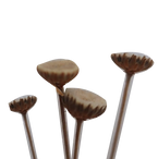 Musas - SITE (3).png