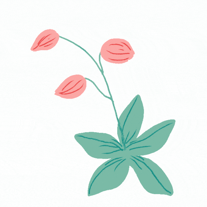 Design sem nome (1).gif