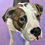 Thumbnail: Custom Oil Painting