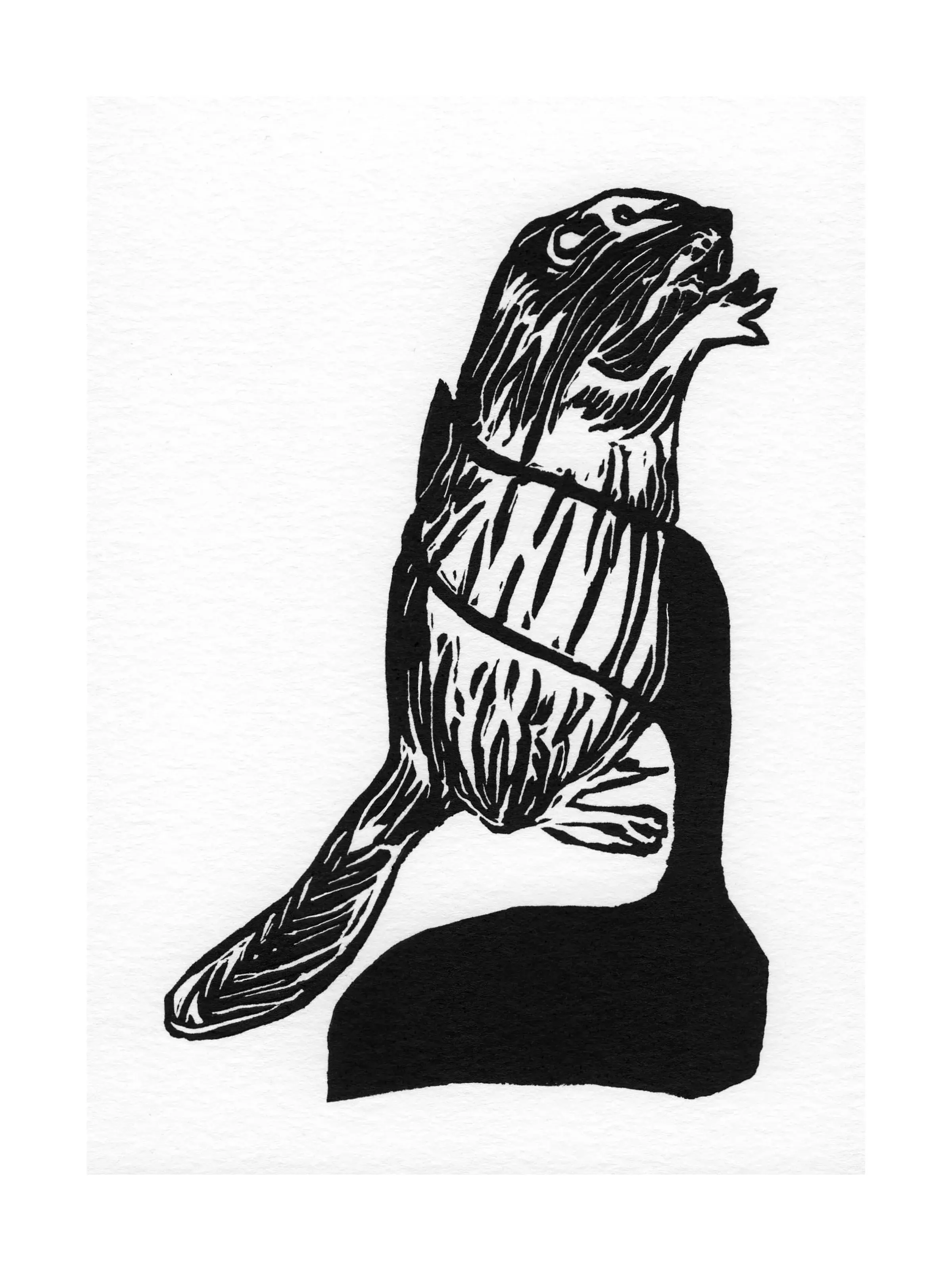 Bet-Bona Beaver בונה-‎ב