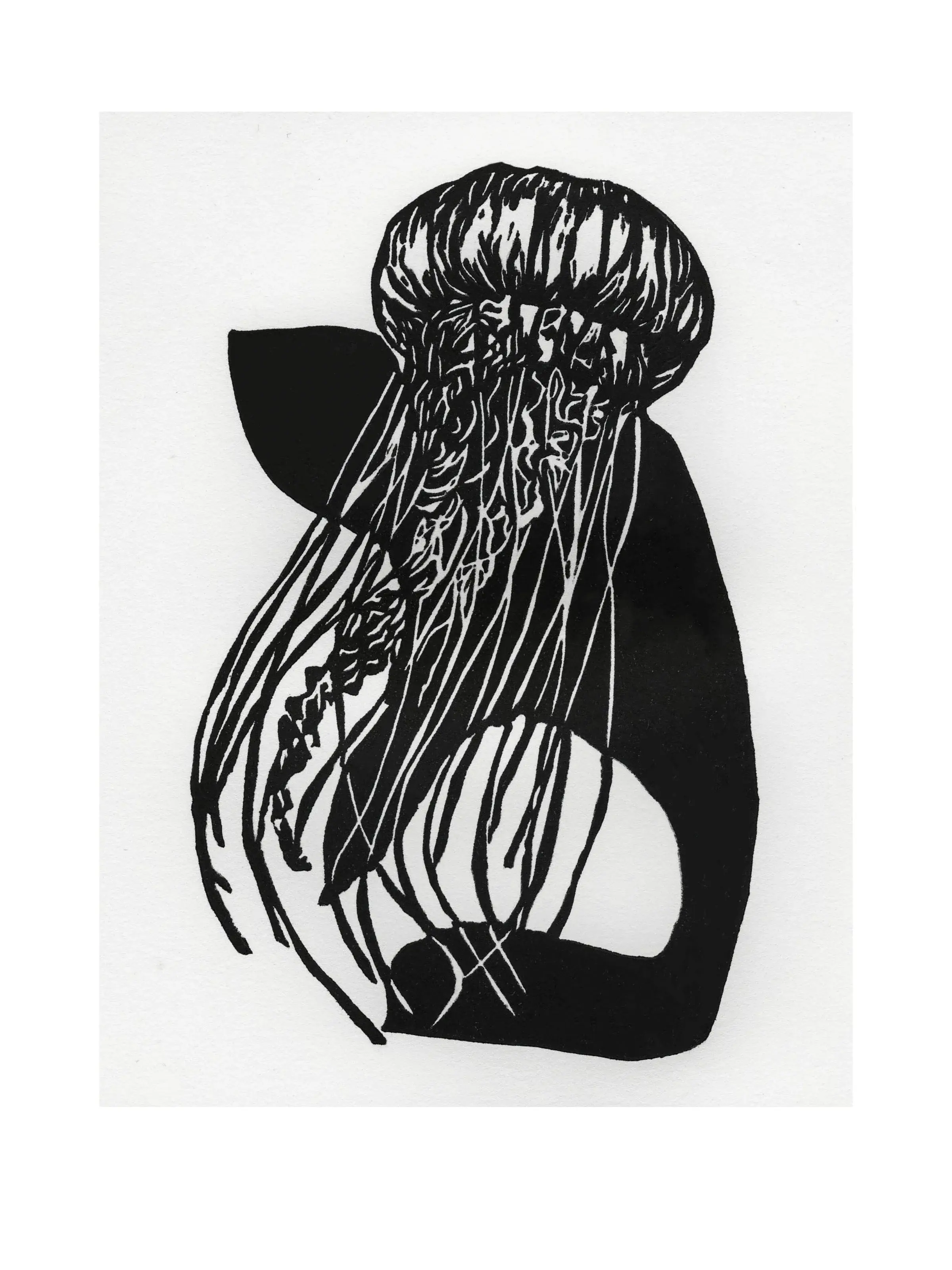 Mem- Meduza Jellyfish מדוזה-‎מ