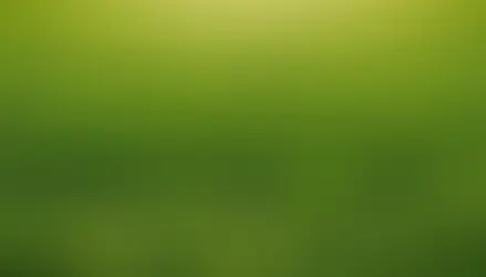 Secretele unui gazon sanatos: problemele uzuale si sfaturi pentru intretinere optima