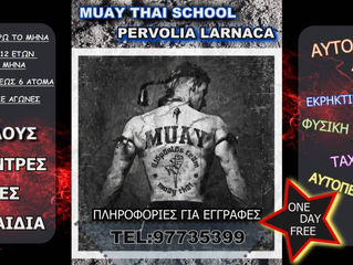 Muay Thai School Larnaca Cyprus