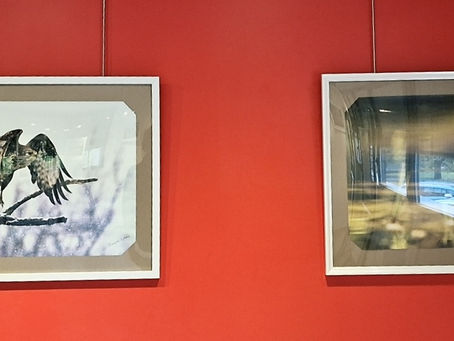 Sylvestre Tonazzani expose à "1 Moi-1 Mois" à Viviez