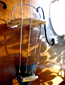 Underood Bass Pickup