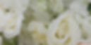 225A9201_edited.jpg