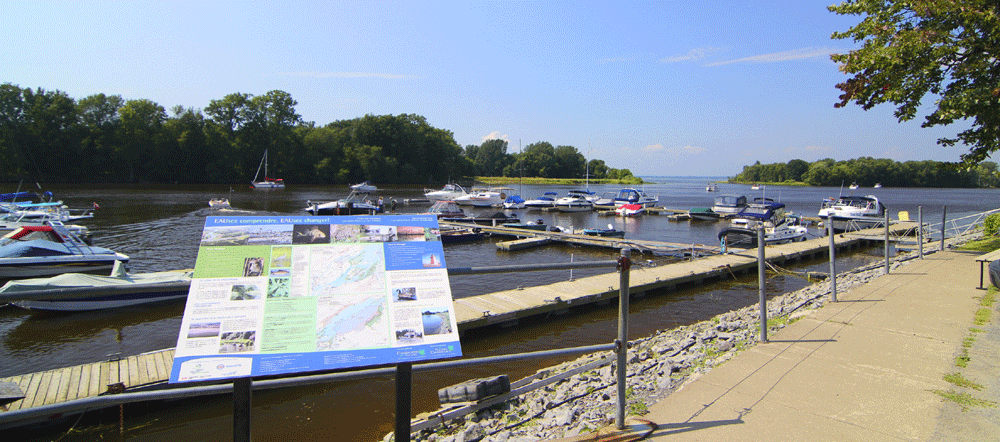 club nautique de la batture