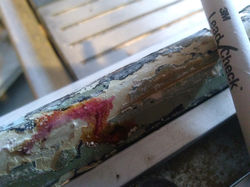 Lead paint-interior trim house built Spokane WA 1911