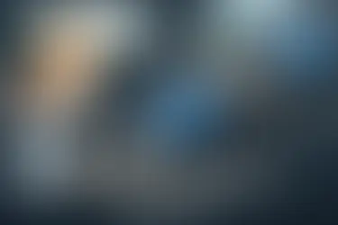 Koiran karvojen poisto auton verhoilusta