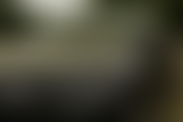 Siitepöly auton sisätiloissa - näkymätön uhka perheesi terveydelle