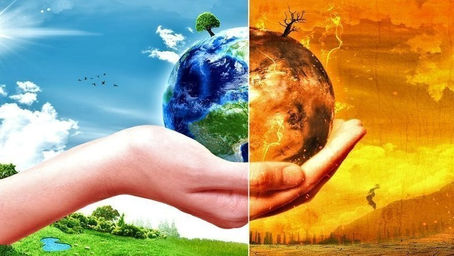 BEAM addresses Council to Declare a Climate Emergency