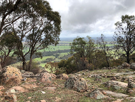 View from up the hill .jpeg