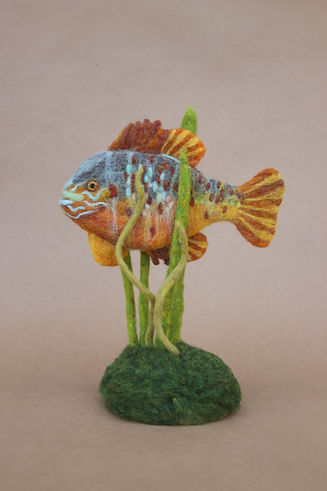 PumpkinSeedBluegill.jpg