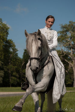 Event'arts_Chateau _26062016-069