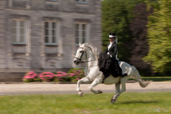 Event'arts_Chateau _26062016-097