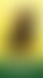 Juneteenth template