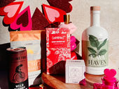 Unique Soberish V-Day Gifts Under $100
