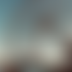 Kansas City Ferris Wheel