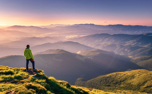 shutterstock_2061590051.jpg