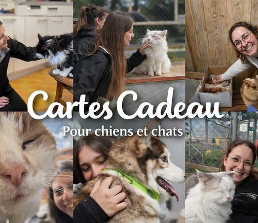 ChatGPT Image 7 avr. 2026 à 16_59_26.png