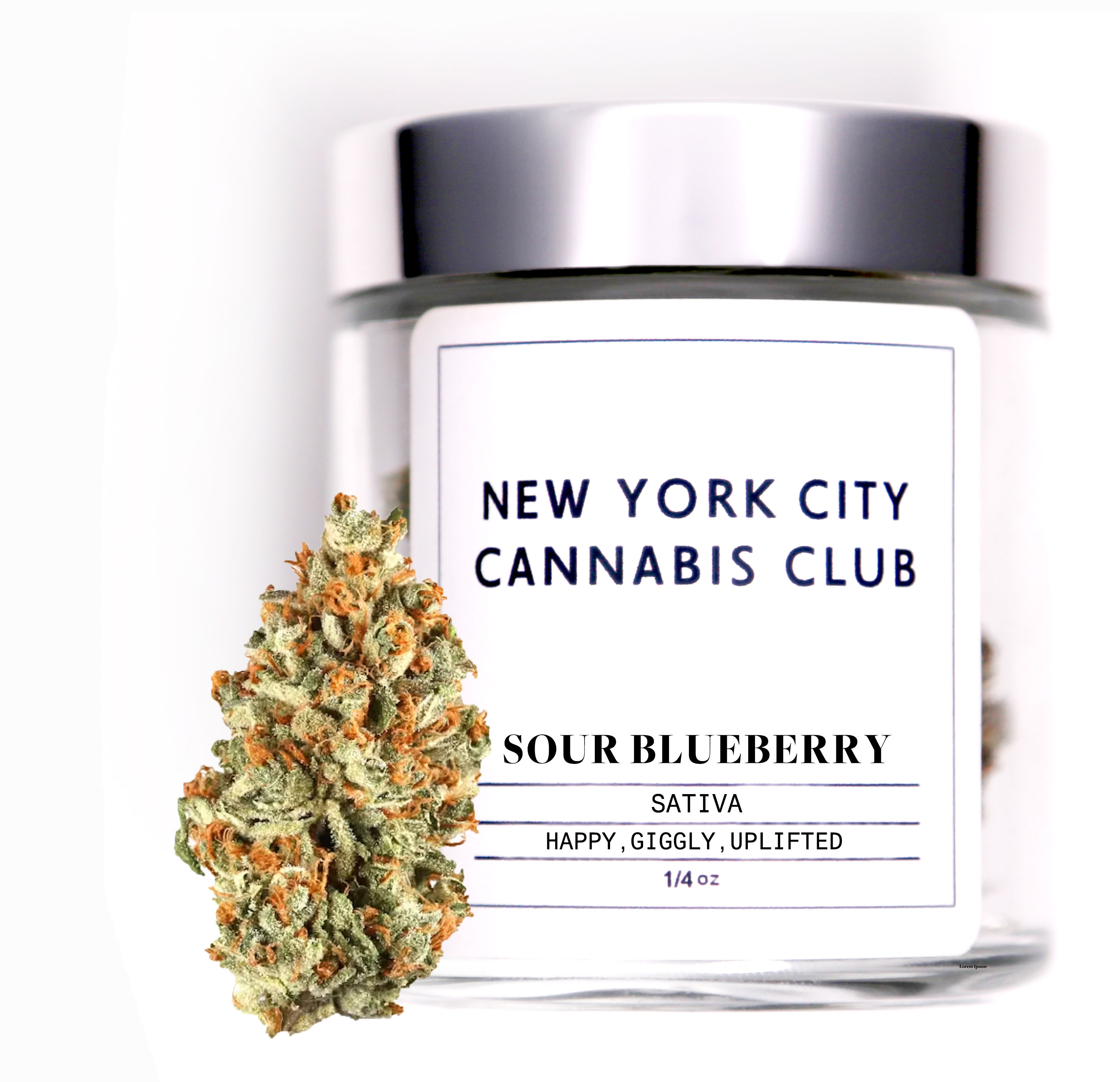 SOUR BLUEBERRY-7G (SATIVA)