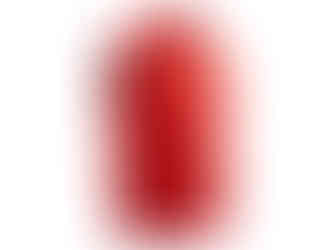 American Food Aid  Red Jacket Apparel