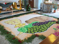 infiorata 11
