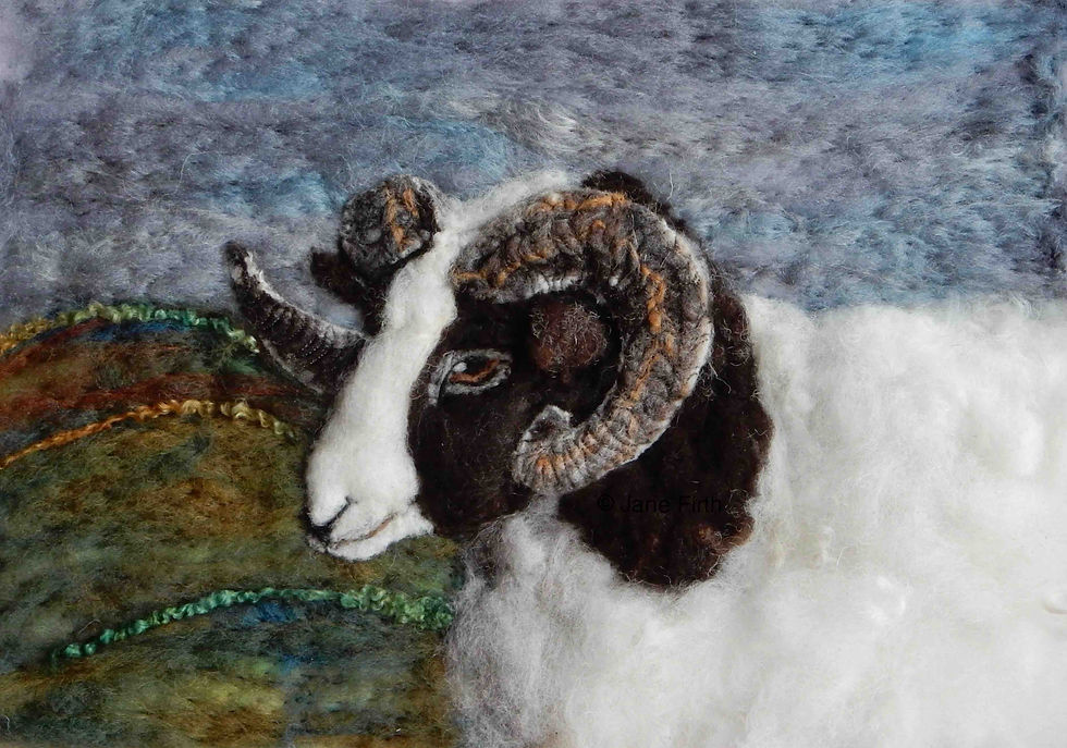 Jacob sheep fibre art portrait