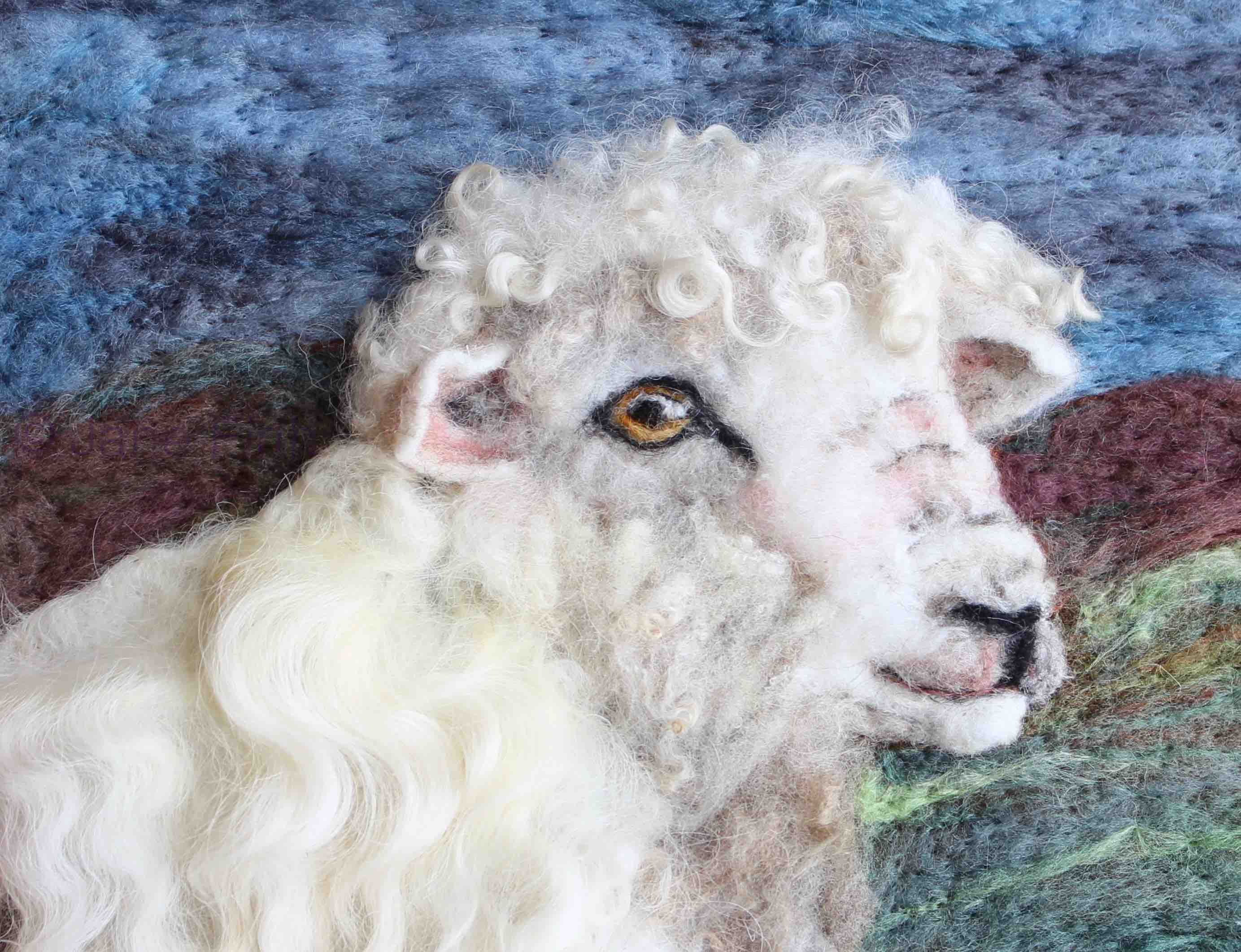 Devon and Cornwall Longwool sheep greetings card