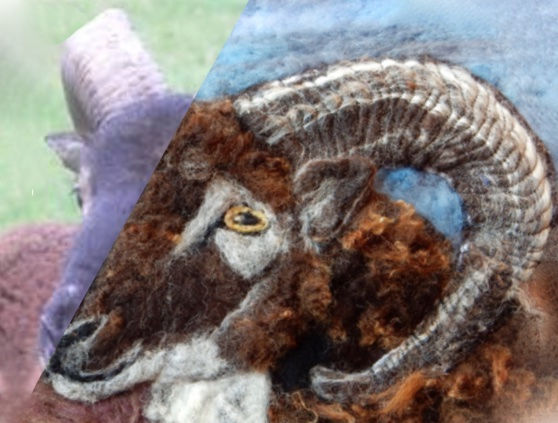 Soay sheep portrait spliced with the photograph.