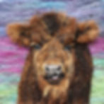 Fibre art portrait of a Highland calf