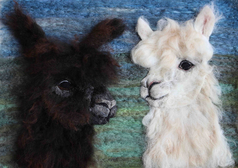 Fibre art portrait of two alpacas