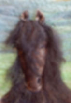 Jenny the Fell pony, fibre art portrait