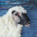 Fibre art portrait of s Shropshire ewe