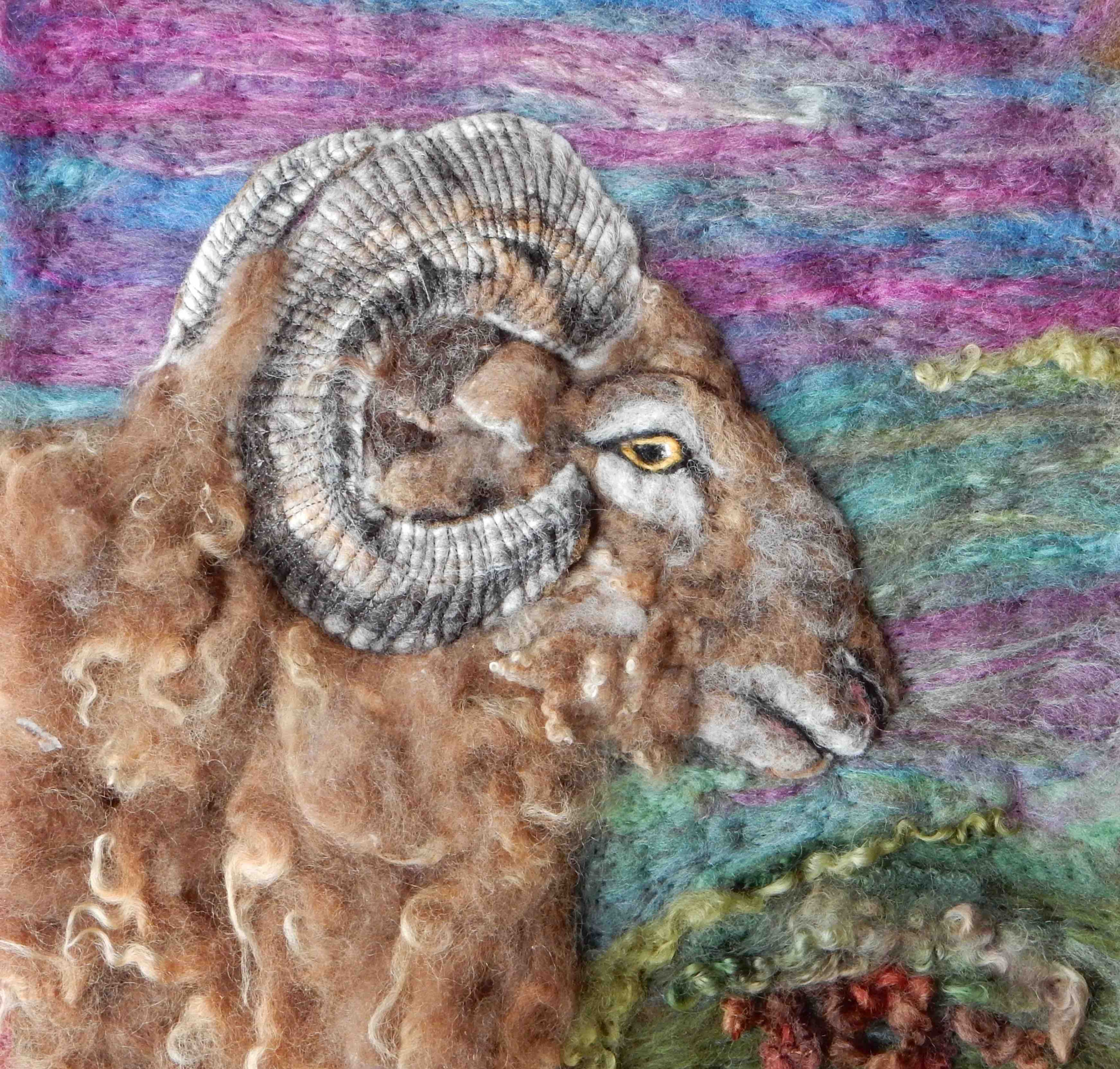 Castlemilk moorit sheep portrait