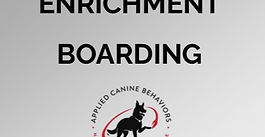 NEW Boarding Tiers!