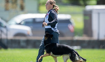 Heeling/Advanced Obedience Workshop