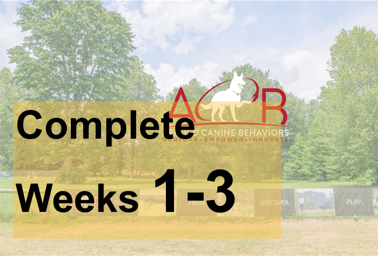 Complete Week 1-3 | ACB, LLC