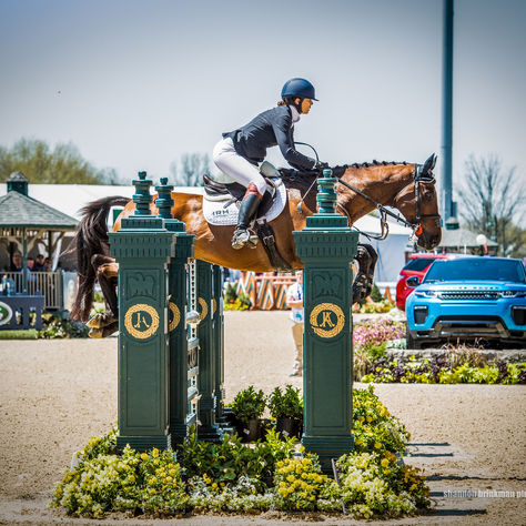 Mental Performance Courses: Master Your Mindset