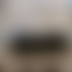 Michael Kors Buys Versace