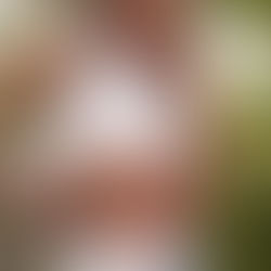 The Launch of Tommy Sport