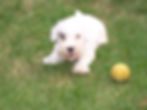 molly 007_edited.jpg