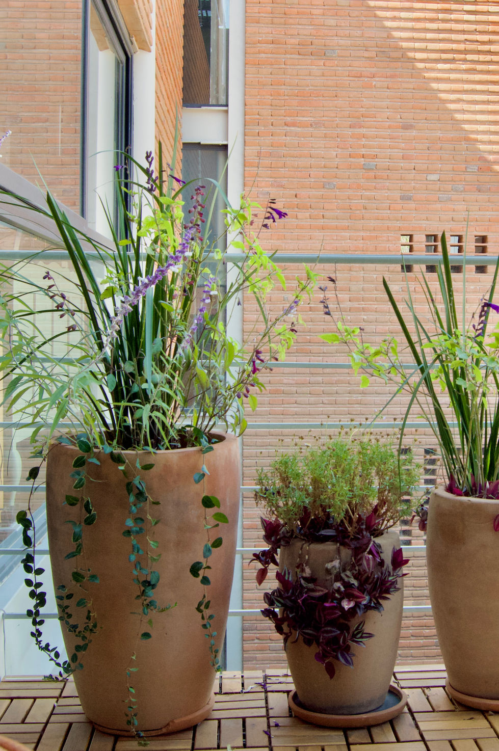 Balcon contemporáneo con plantas polinizadoras.