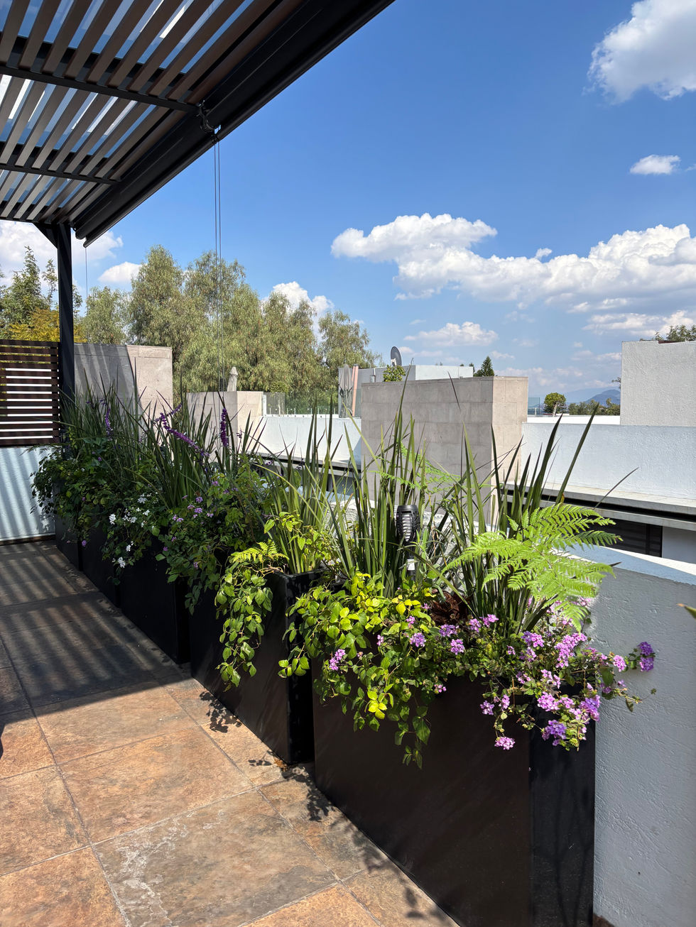 Diseño de terrazas premium CDMX