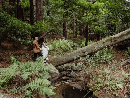 Big Sur Elopement Big Sur Wedding Big Sur Wedding Planner What You Need To Know