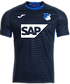 HOFFENHEIM_edited.png