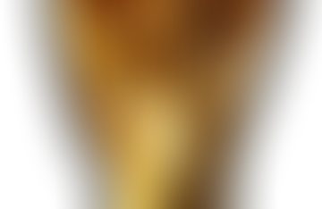 Second Weltmeister from 2014 Retires