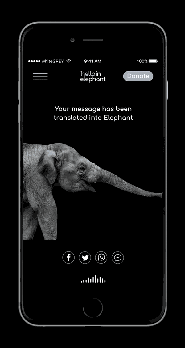 DAVID SHELDRICK