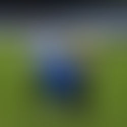 Femke Janßen verstärkt Trainerteam der SVM-Frauen